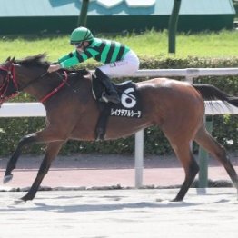 【阿蘇Ｓ】レイナデアルシーラ逃げ切り