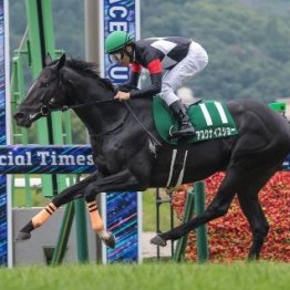 【七夕賞】レース後の談話