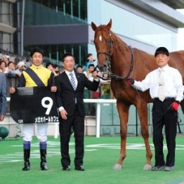 先週の函館といえば豊さんの５０００勝達成と、僕にとってはもうひとつ…