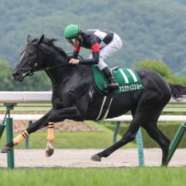 先週の函館、福島から楽しみな馬を１頭ずつ