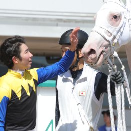 【小倉競馬】福島は田辺、函館は丹内のご当地騎手が活躍するが、夏の小倉は！？