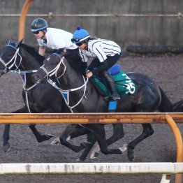 【小倉記念】ウエストナウ２歳との併せ馬で総仕上げ