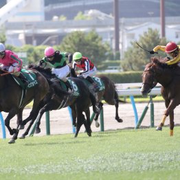 【小倉記念】データ作戦　前走３勝クラス組を狙い撃て