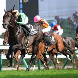 【新居の土曜競馬コラム・阿武隈Ｓ】