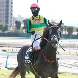 【大谷の土曜競馬コラム・阿武隈Ｓ】
