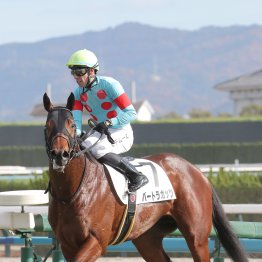 【大阪本紙・弘中の土曜小倉12Ｒ】
