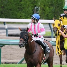 【新居の日曜競馬コラム・福島テレビ賞】