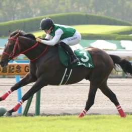 【大谷の日曜競馬コラム・小倉記念】