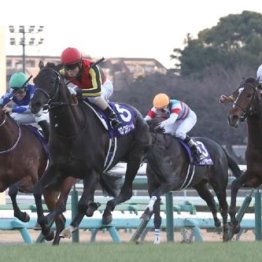 【武田の日曜競馬コラム・小倉記念】