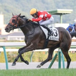 【東京本紙・外山の日曜福島９Ｒ】
