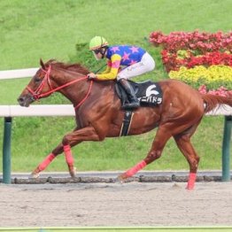 【東京本紙・外山の日曜福島11Ｒ】
