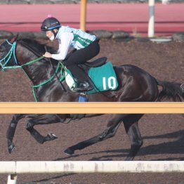 【日曜福島５Ｒ】エンルートフライト　牡・池添学厩舎