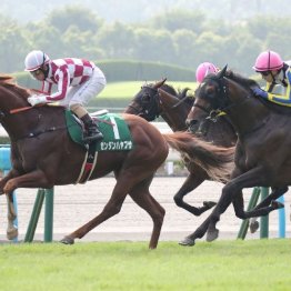【小倉記念】格上挑戦のゼンダンハヤブサがインから抜け出し重賞初Ｖ
