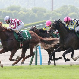 スマートオーディン産駒が重賞初制覇