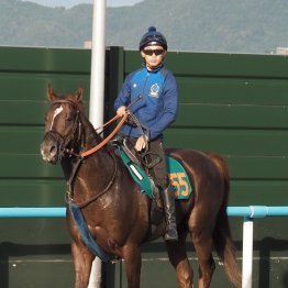 【土曜札幌・２歳新馬】ダート王国・田中博康厩舎からホウオウシュウがデビュー