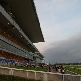 今週から暑熱対策の新潟、中京がスタート