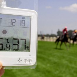 今週から暑熱対策の新潟、中京がスタート