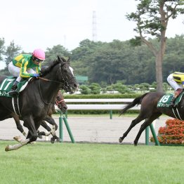 【関屋記念】データ作戦　７、８枠を狙え！