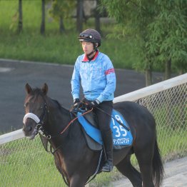 【東海Ｓ】マテンロウコマンド中央重賞も取る