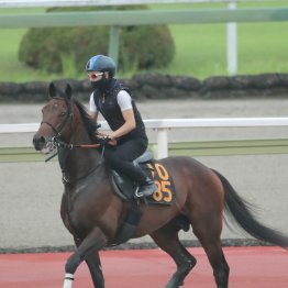 【播磨の土曜競馬コラム・関ケ原Ｓ】