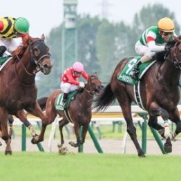 【武田の土曜競馬コラム・新潟日報賞】