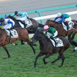 【橘の土曜競馬コラム・新潟日報賞】