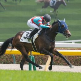 【東京本紙・外山の土曜中新潟12Ｒ】