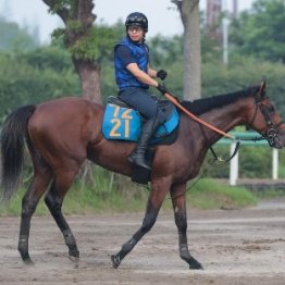 【市川の日曜競馬コラム・関屋記念】