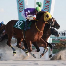 【飯島の日曜競馬コラム・東海Ｓ】