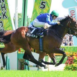 【武田の日曜競馬コラム・関屋記念】
