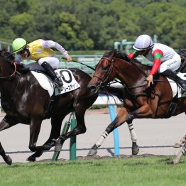 【レスキュー隊の日曜競馬コラム・中京12Ｒ】