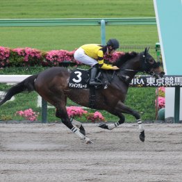 【大阪本紙・弘中の東海Ｓ】