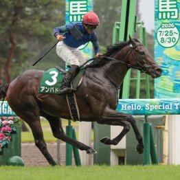 【関屋記念】アンパドゥがインから差し切る