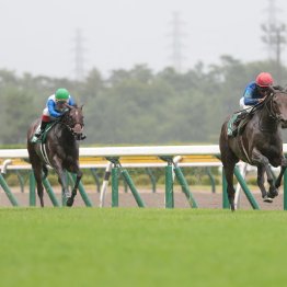 極端な馬場が適性の差を浮き彫りに