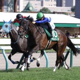 【クイーンＳ】コース替わりでエリカエクスプレス重賞２勝目なるか