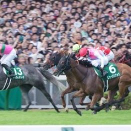 【アイビスサマーダッシュ】昨年の①②着馬が参戦