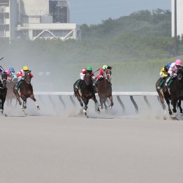 【中京競馬】先週は気温４０・１度の酷暑日競馬に。暑熱対策とそれを超す過酷な暑さ