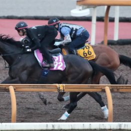 【アイビスＳＤ】連覇がかかるピューロマジックは数字以上の俊敏な動きでＡ評価
