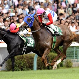 アイビスサマーダッシュにも使える千直競馬攻略法