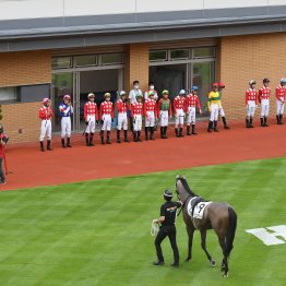 アイビスサマーダッシュにも使える千直競馬攻略法