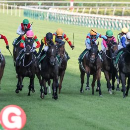 【アイビスＳＤ】データ作戦　今年も牝馬を狙え