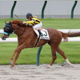 【藤岡の土曜競馬コラム・日進特別】
