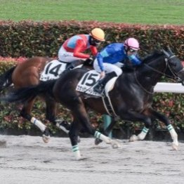 【市川の土曜競馬コラム・桶狭間Ｓ】