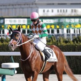 【大谷の土曜競馬コラム・柳都Ｓ】