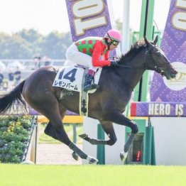 【東京本紙・外山の土曜新潟12Ｒ】
