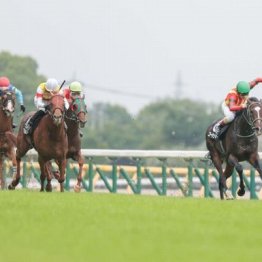 【東京本紙・外山の土曜新潟６Ｒ】