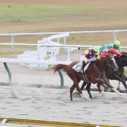 【東京本紙・外山の土曜新潟７Ｒ】