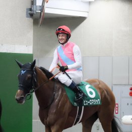 【播磨の日曜競馬コラム・ＷＩＮ５】