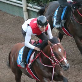 【市川の日曜競馬コラム・アイビスサマーダッシュ】