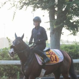 【武田の日曜競馬コラム・アイビスサマーダッシュ】